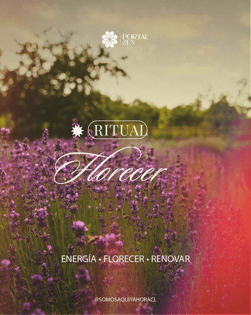 Ritual Florecer - Aquí & Ahora